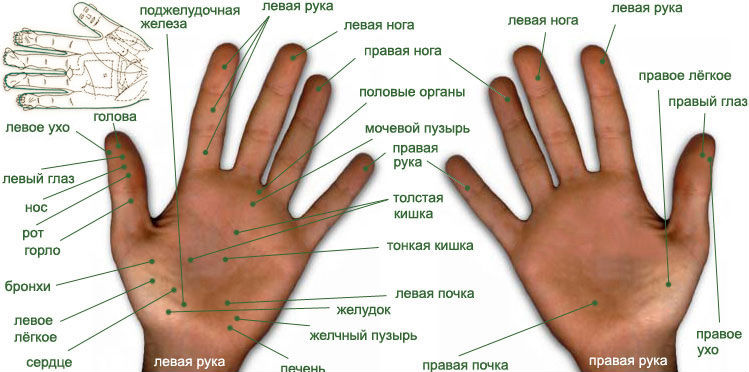 Польза массажа рук и кистей