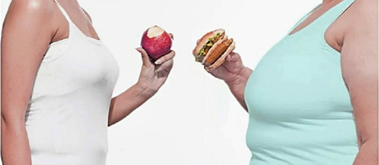 Влияние инсулина на жировой обмен