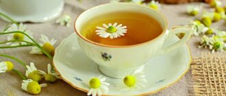 Чашка с травяным чаем