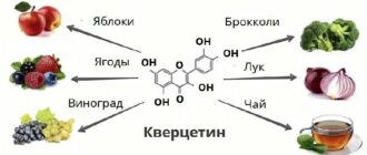кверцетин - флавоноид